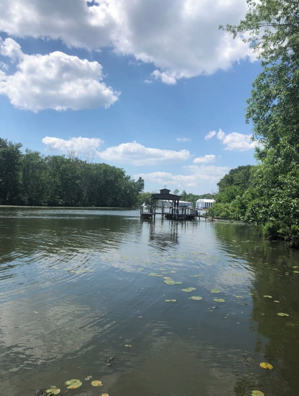 Marina, just past the dock