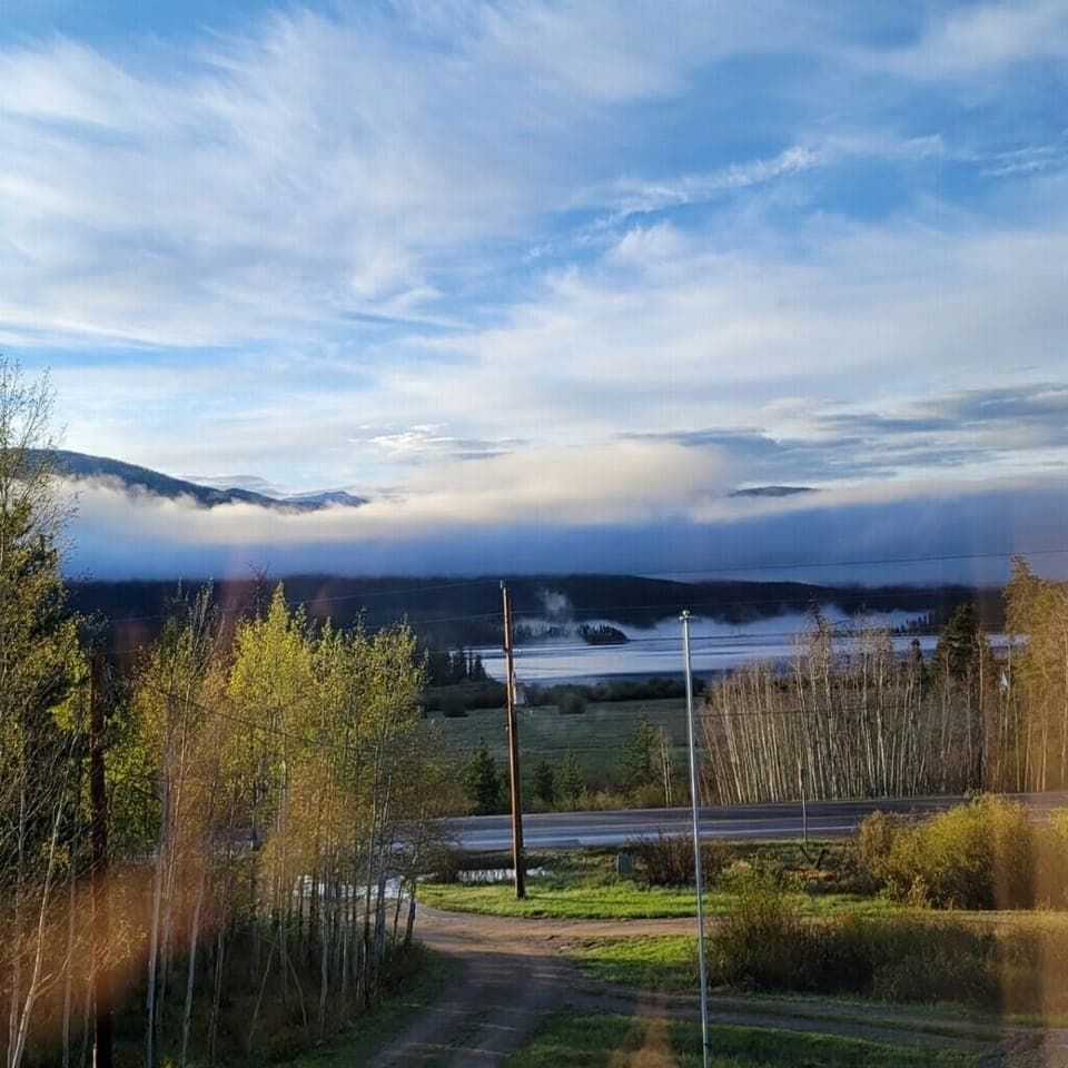 View from the house