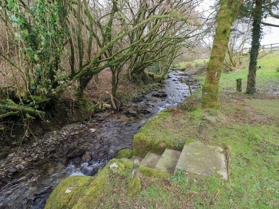 Cottage | Miscellaneous