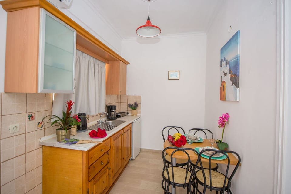 Spiros and Polyxeni Apartment 6 Afionas Kitchen And Dining Area 