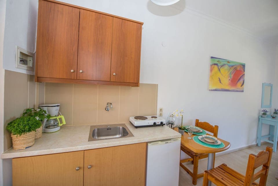Spiros and Polyxeni Studio 5 Afionas Kitchen
