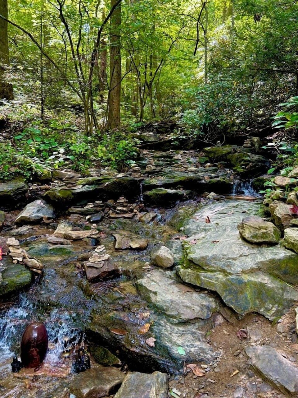 Beautiful stream on your hike