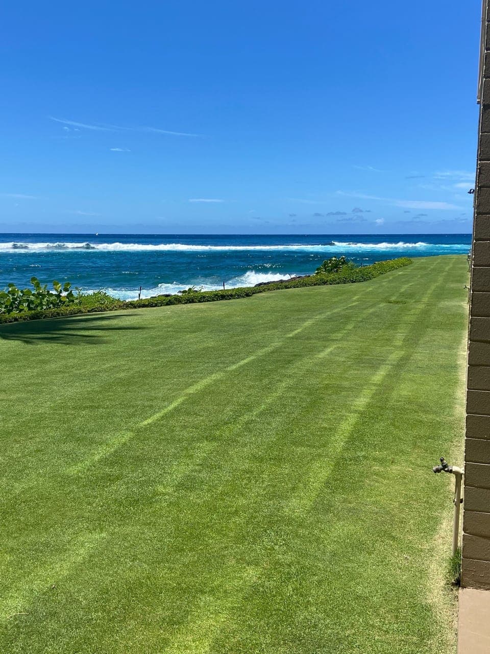 View from lanai