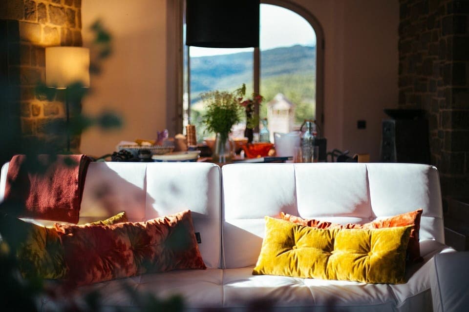 Couch, Property, Furniture, Building, Light, Table, Comfort, Plant, Orange, Window
