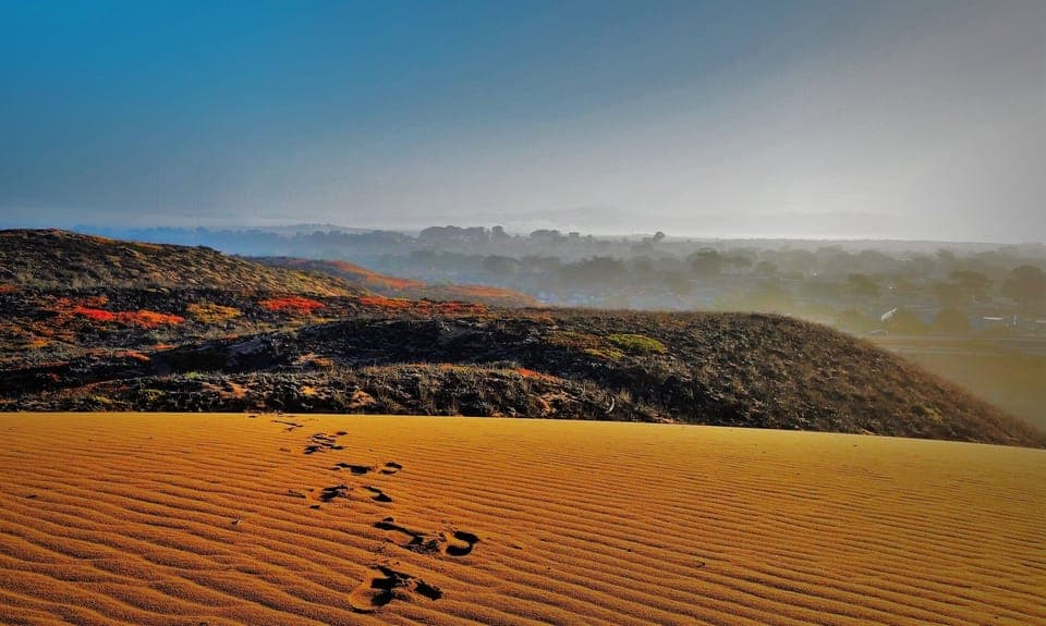 Golden sand dunes near Marina with coastal views (photo by host)