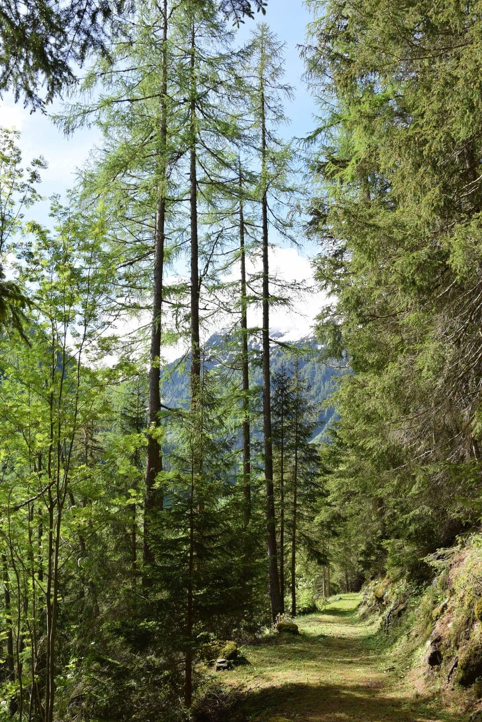 Part of the Tour du Mont Blanc trail, 5 minutes walk from the apartment.