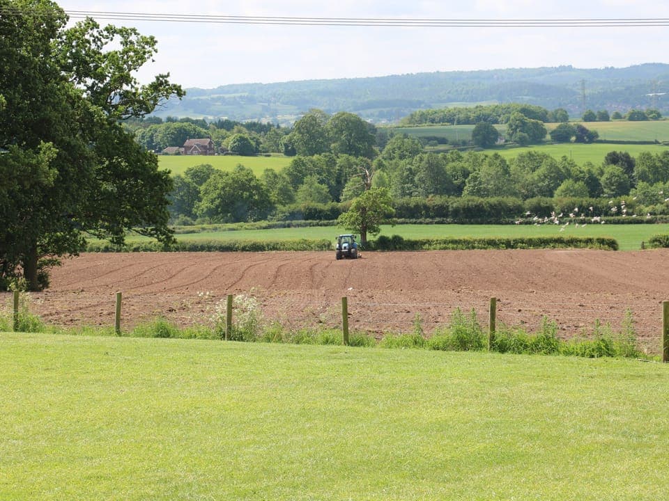 Cottage | Miscellaneous