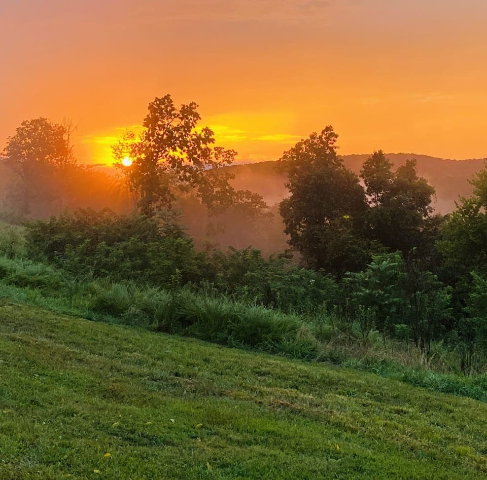 Sunset from the backyard.