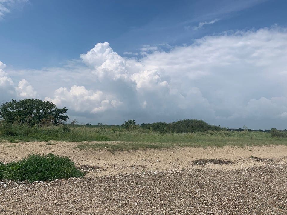 Cabin | Property grounds