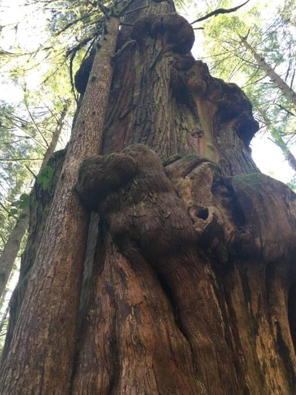 Looking up from the base