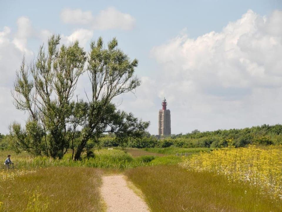 Region [summer] (>5 km)