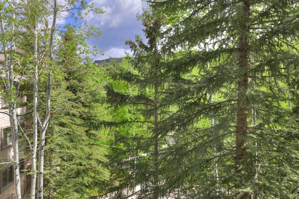 Condo, 1 Bedroom | Property grounds