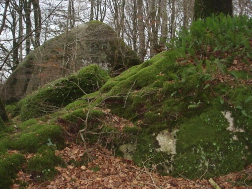Devils Pulpit - local walk