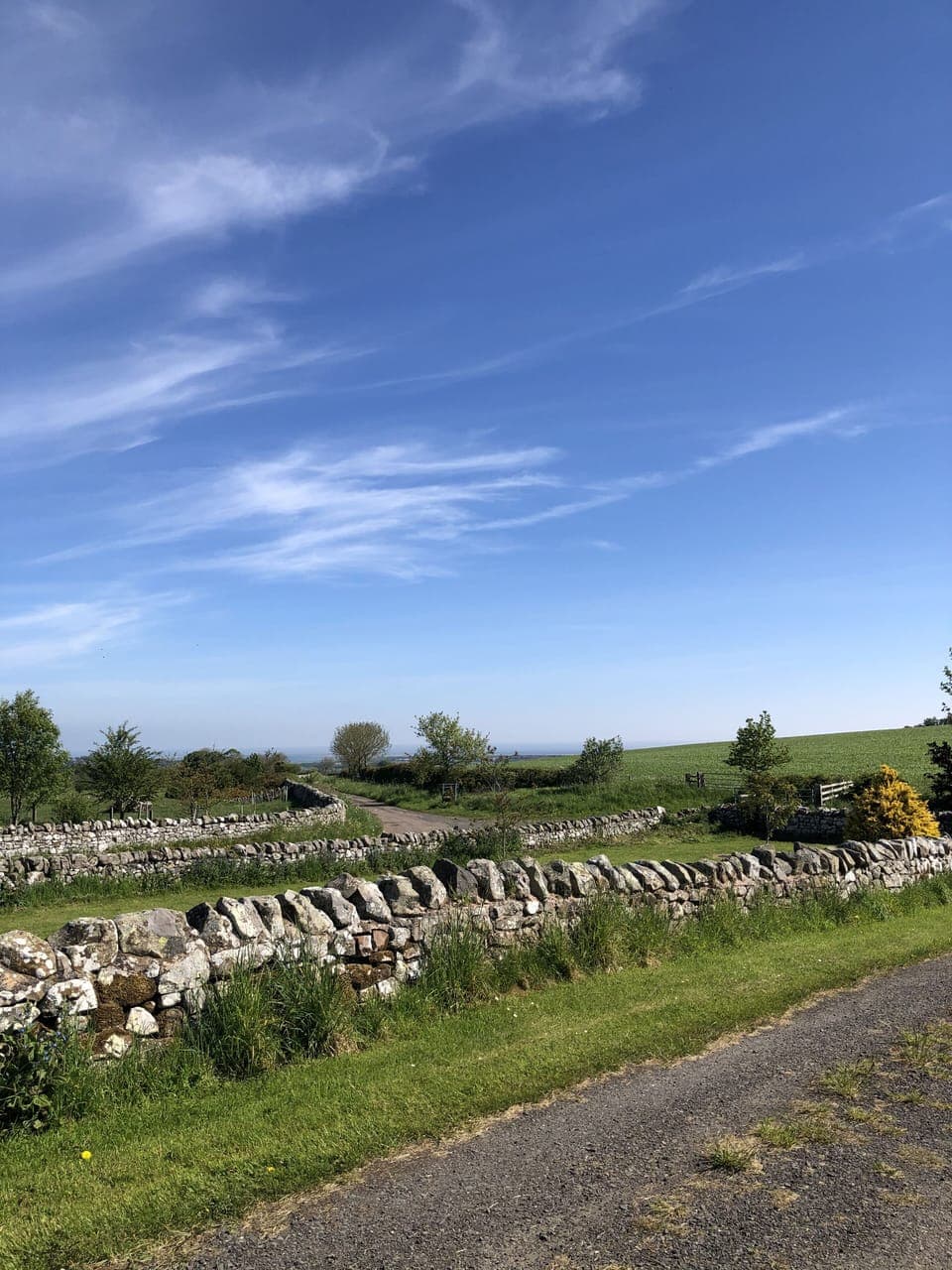 View from the garden to the sea
