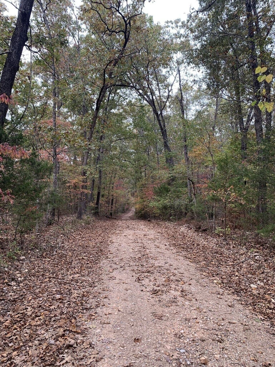 Even the drive in feels peaceful.