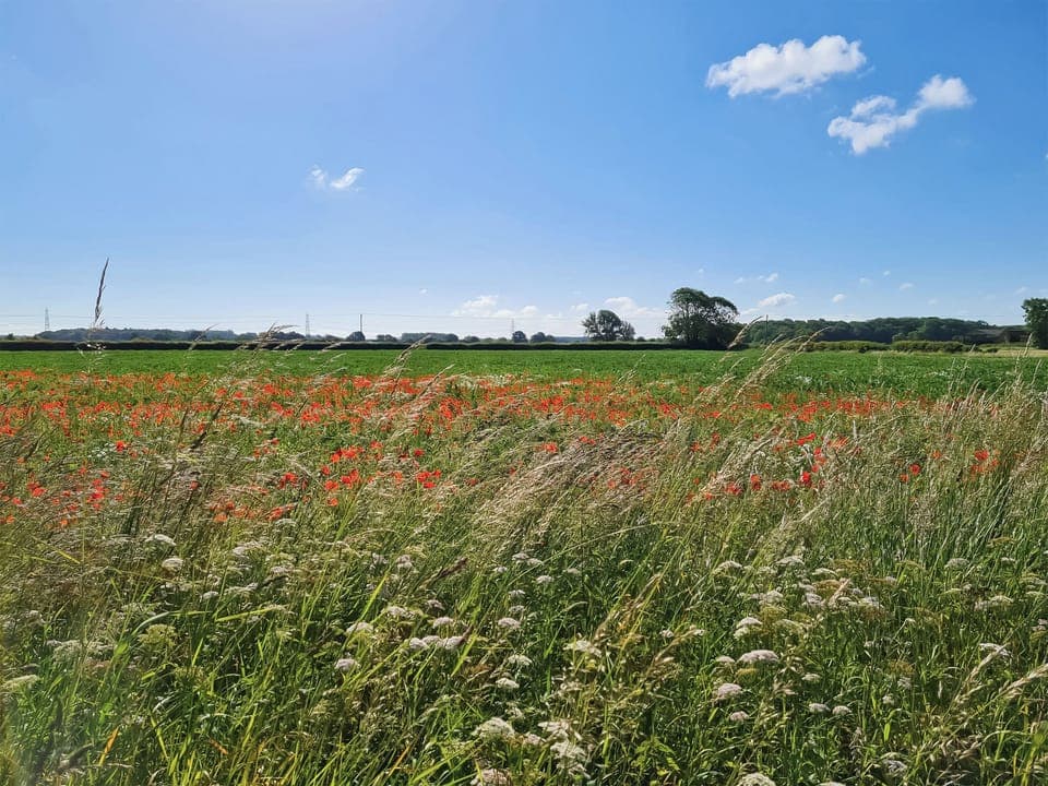 Surrounding area | The Cherry Tree, Near Lincoln