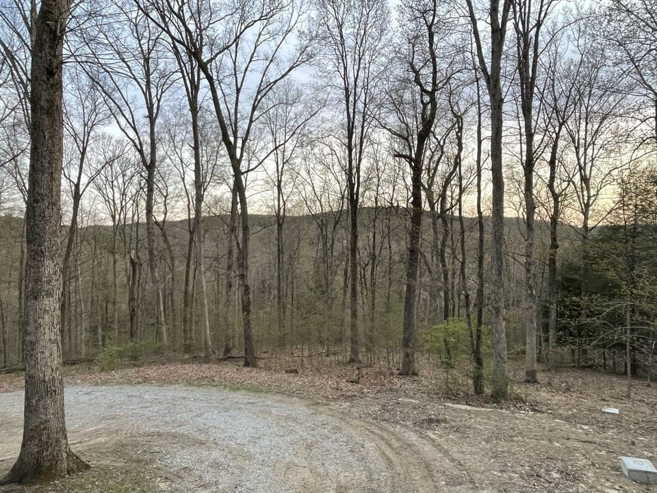 Spring View across valley