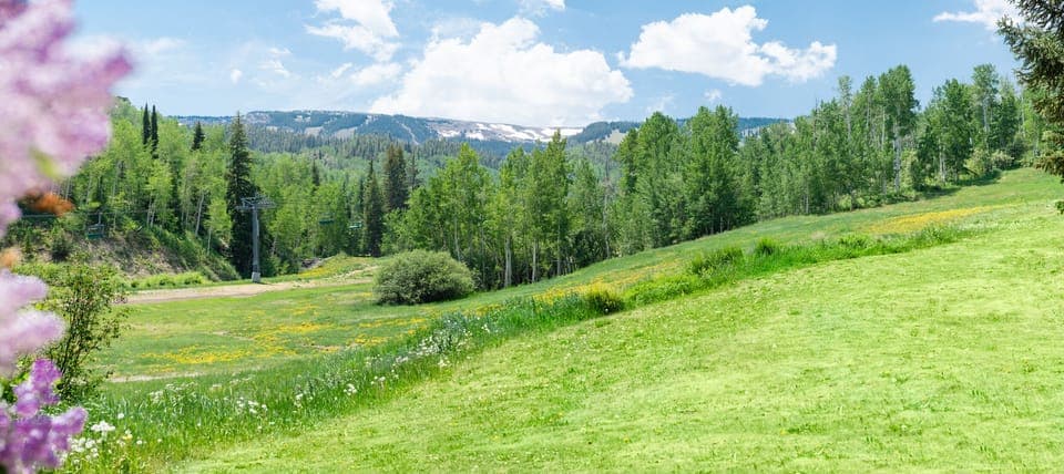 Snowmass Ski Area view