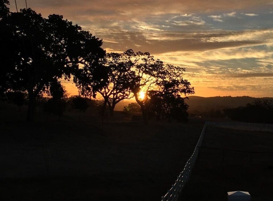 FBE68682-ED4B-4751-A90E-29889B505C9C_1_105_c