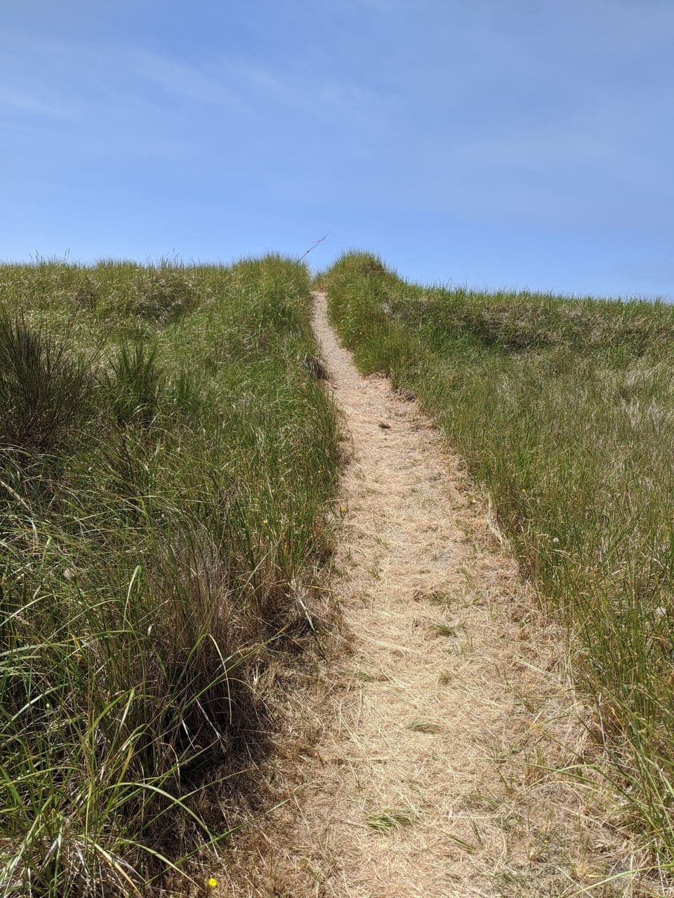 This private path leads you through breathtaking views of grassy dunes!