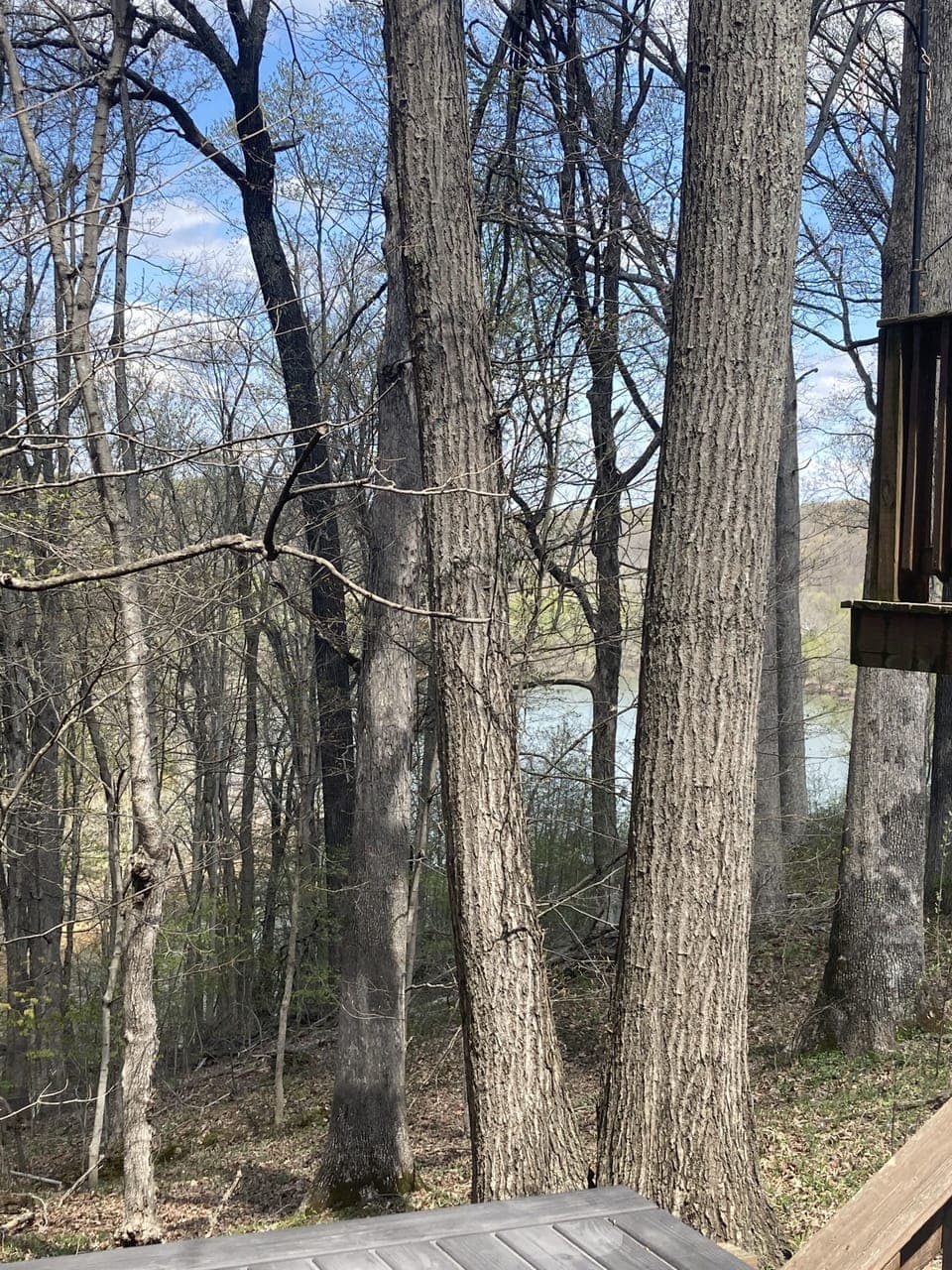 View from lower deck!