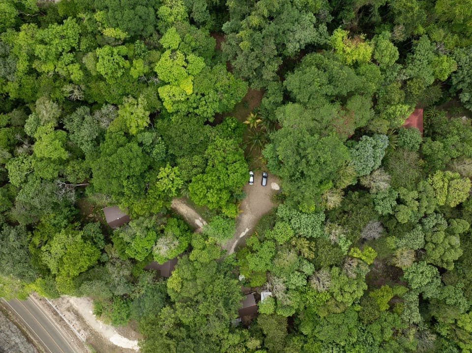 Property with 3 cottages, parking area, a restaurant, and an organic farm.
