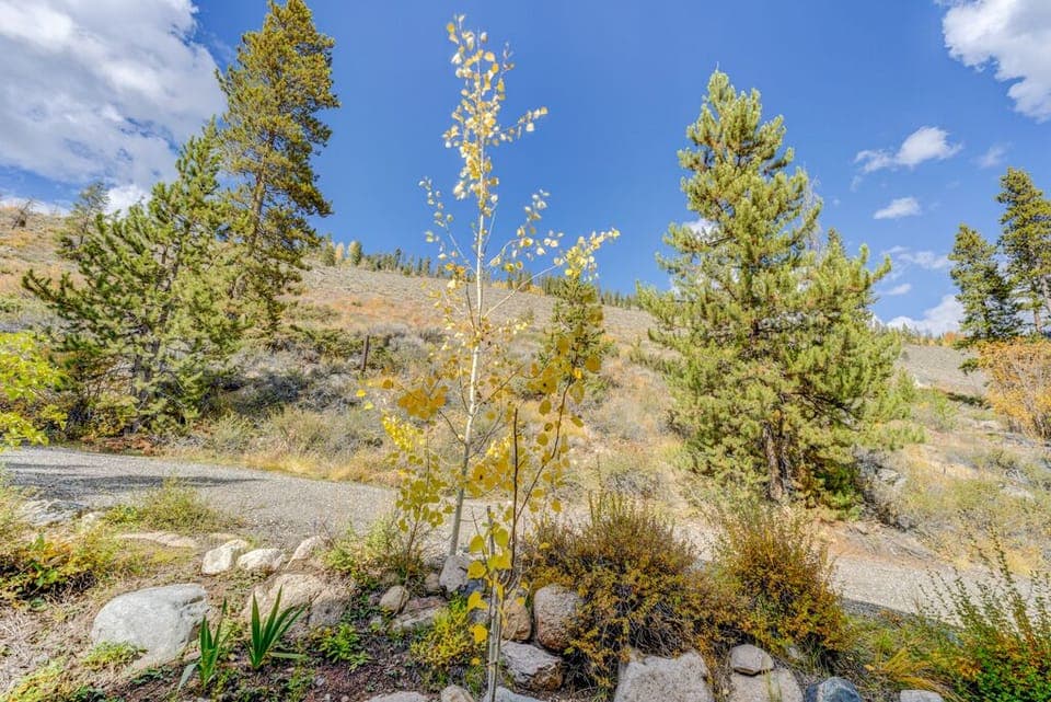 View from private back deck.