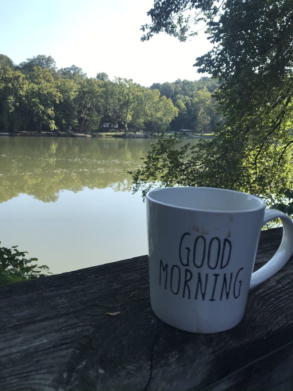 Good morning view