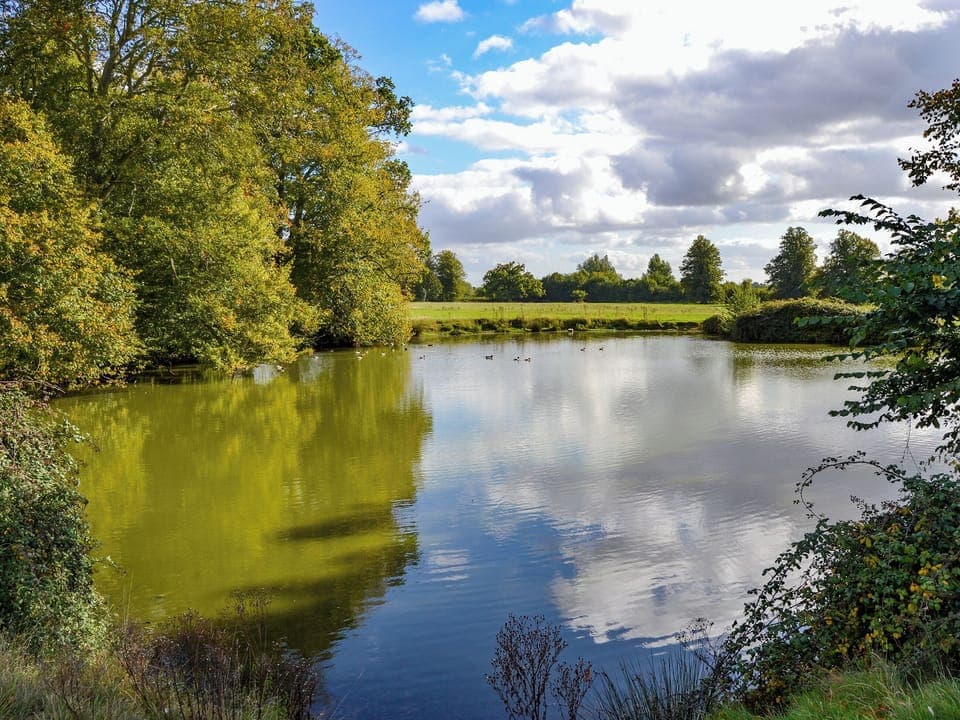 Surrounding area | Park View, Palgrave, near Diss