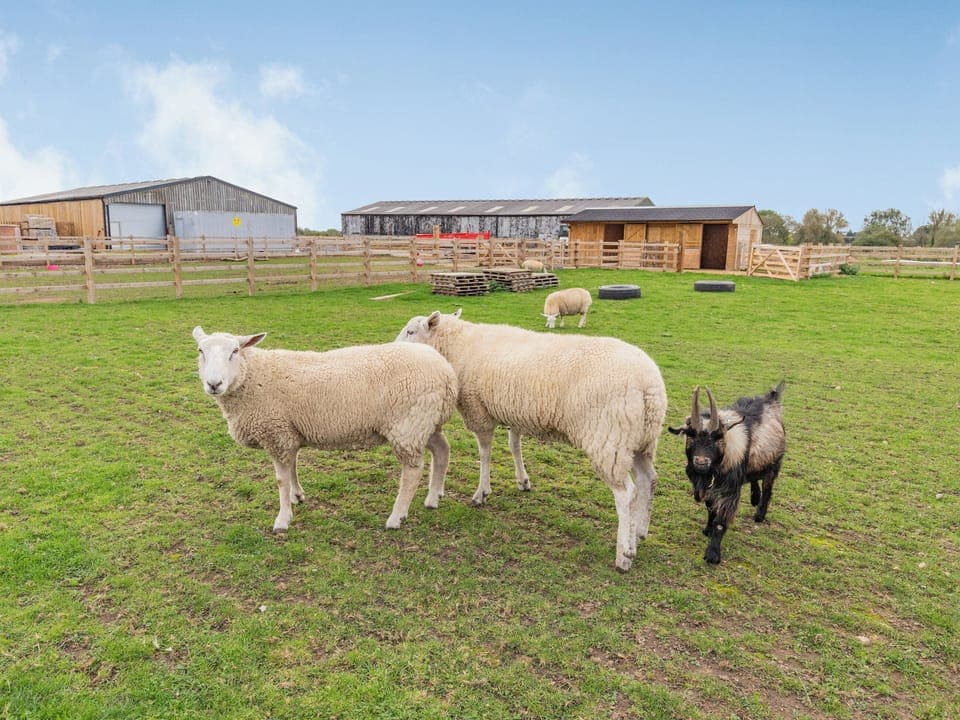 Local attraction | The Old Farmhouse - Brookfields Holiday Farm, Church Broughton, near Derby