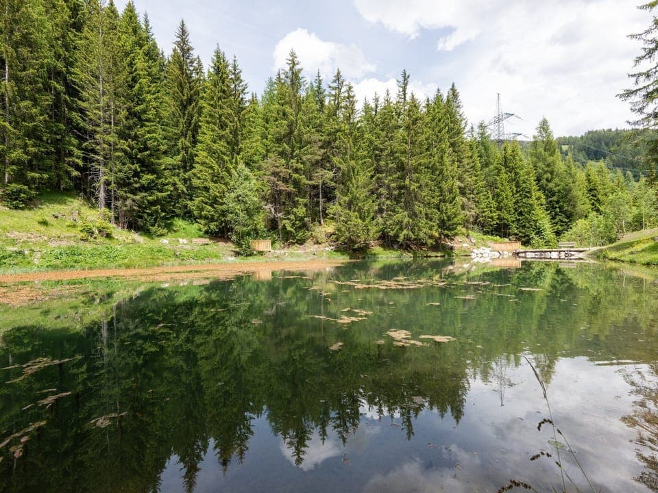 Immediate Surroundings [summer] (<1 km)