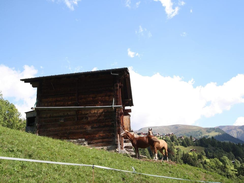 Immediate Surroundings [summer] (<1 km)