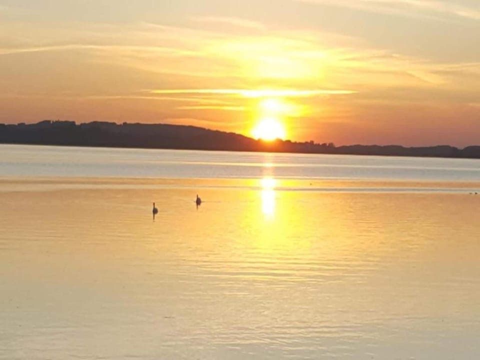 Surroundings [summer] (1-5 km)