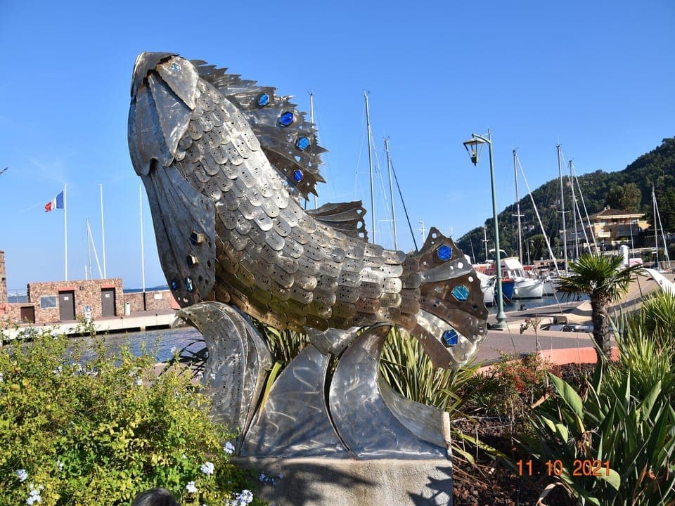 Immediate Surroundings [summer] (<1 km)