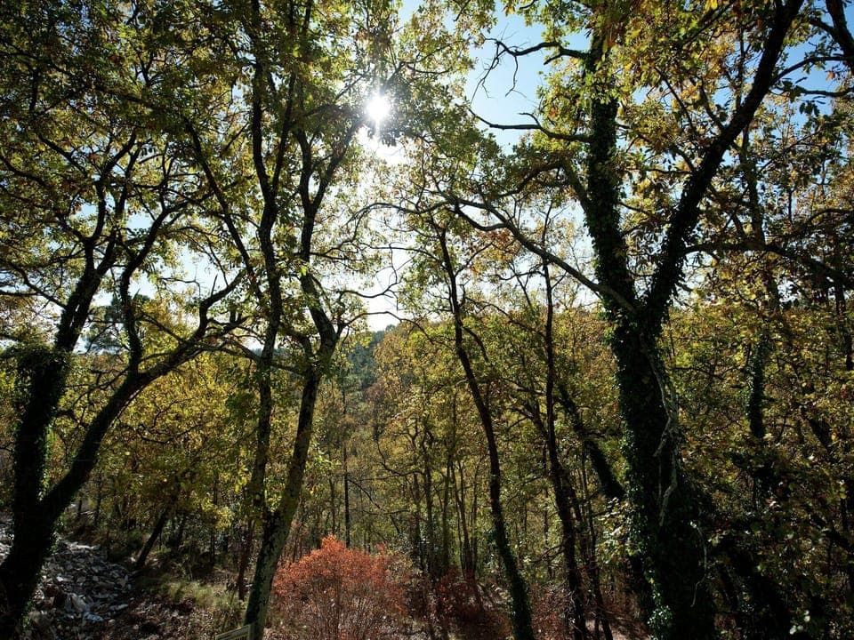 Surroundings [summer] (1-5 km)