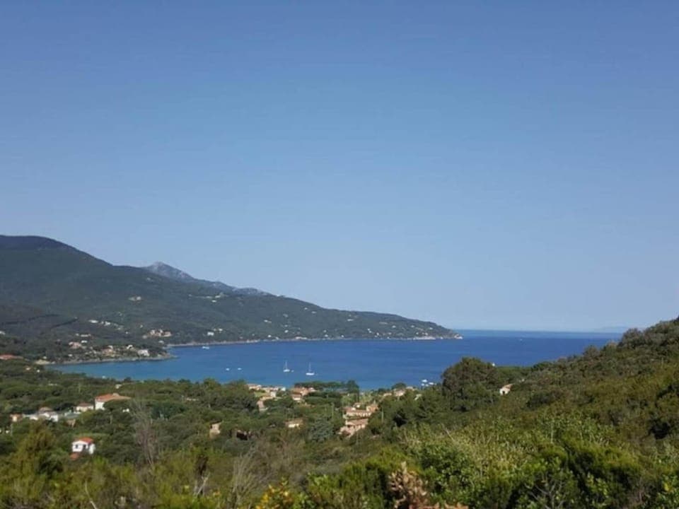 Region [summer] (>5 km)