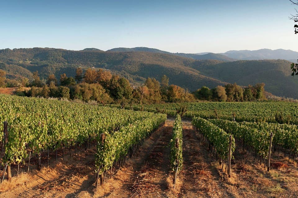 View from Holiday Home [summer]