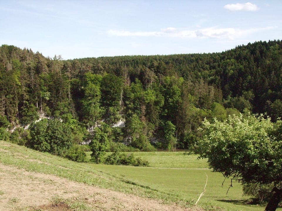 Immediate Surroundings [summer] (<1 km)