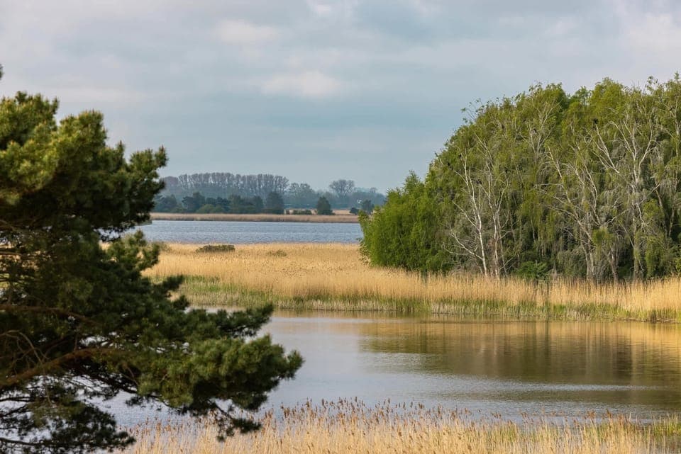 A peaceful landscape of coastal greenery and water, perfect for nature enthusiasts.