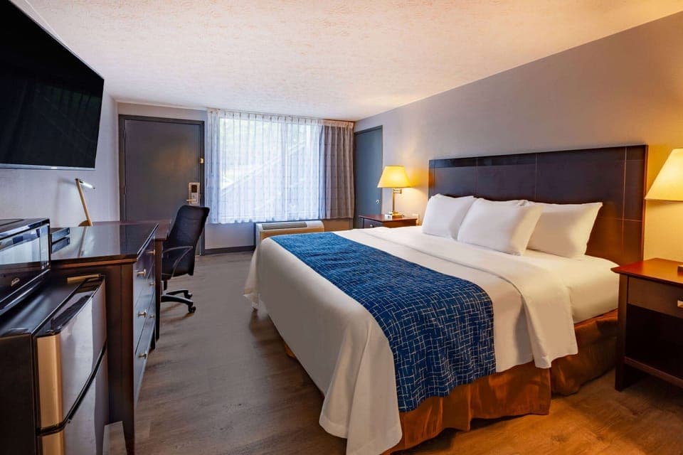 Room, 1 King Bed, Non Smoking | Premium bedding, pillowtop beds, blackout drapes, iron/ironing board