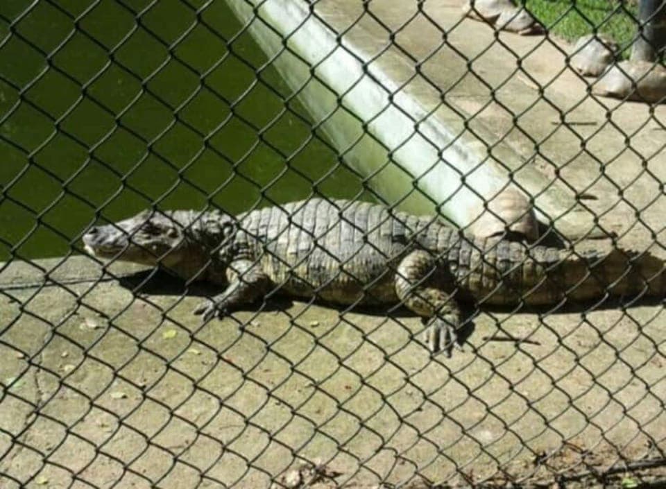 Parque Chico Mendes ( a 5 KM do apartamento )