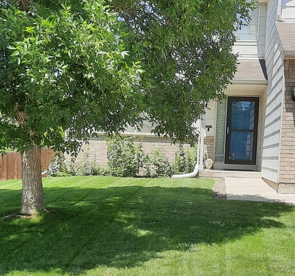 Front Yard