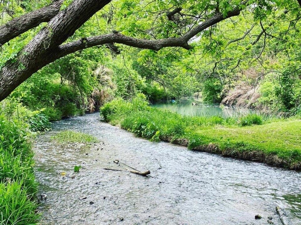 Shallower areas where little kids can play.