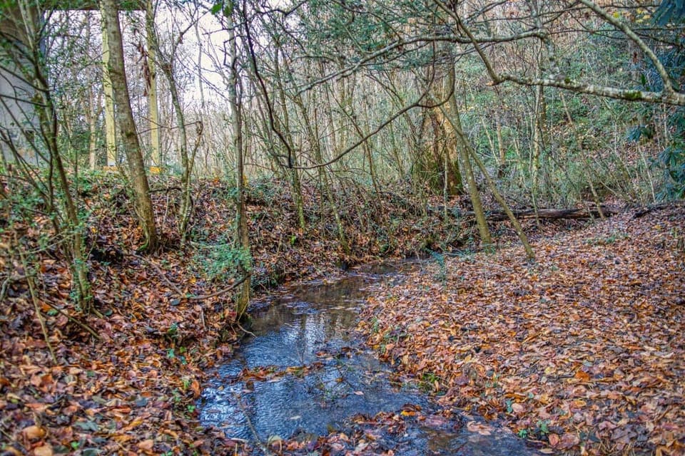 Year round creek lines the property. Enjoy splashing around or catching minnows.