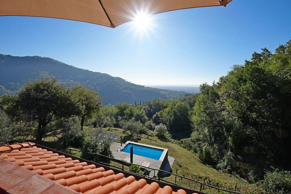 Garden, Outdoor, Pool