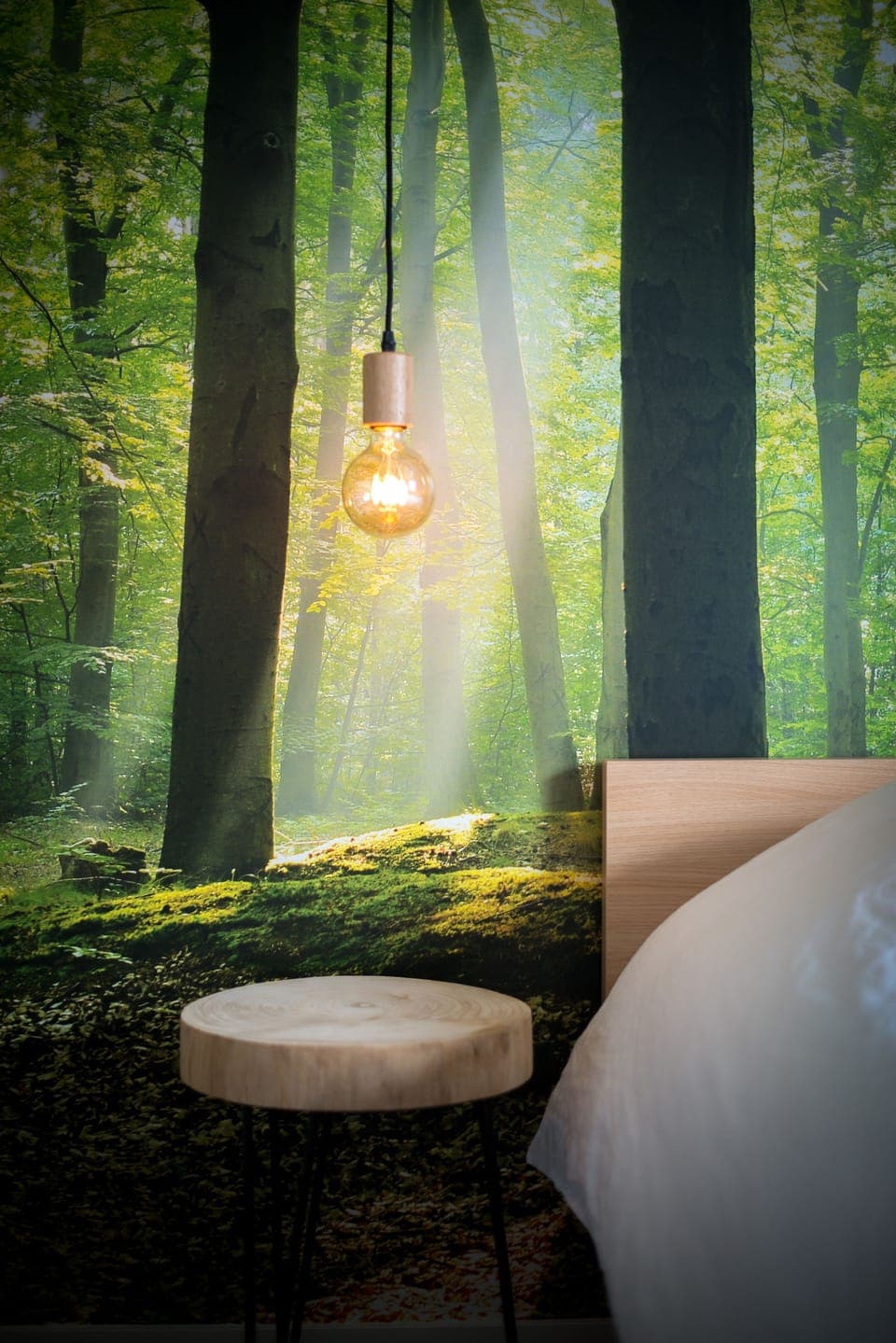 Deluxe Suite | Individually decorated, individually furnished, desk, blackout drapes