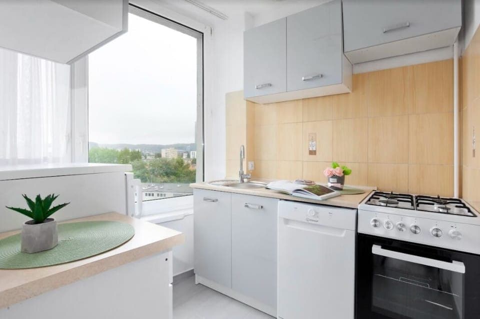 Economy Studio Suite | Private kitchen | Fridge, oven, cookware/dishes/utensils, freezer