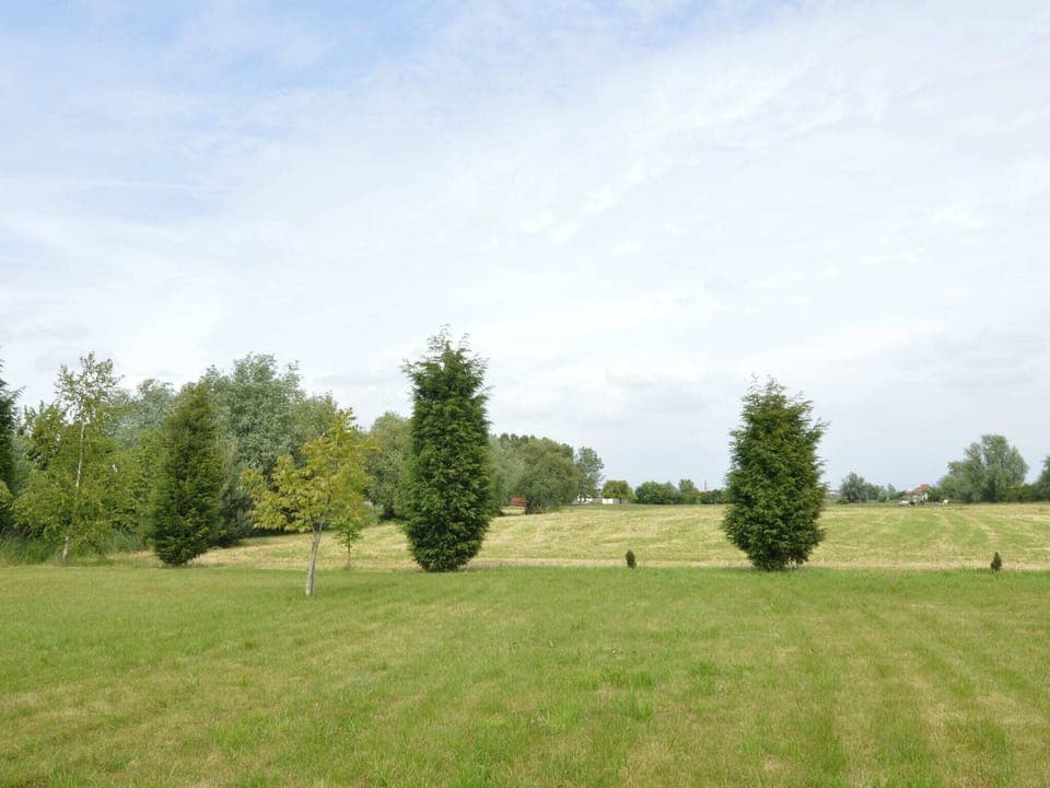 Region [summer] (>5 km)