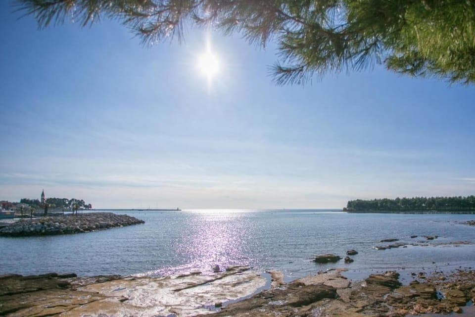 Region [summer] (>5 km)