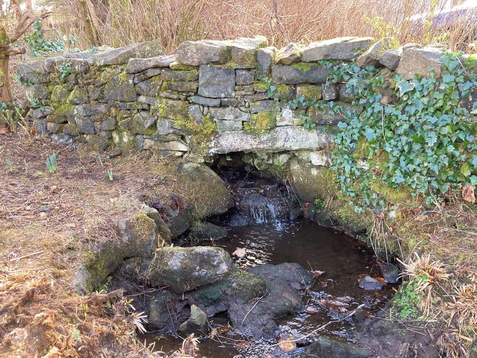 Cottage | Miscellaneous